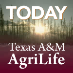 Genetics can improve livestock grazing in South Texas